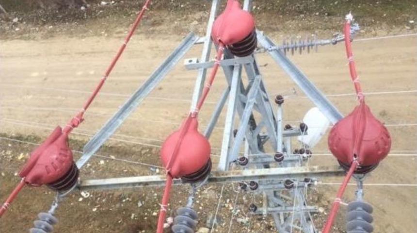 Enerji Nakil Hatları G&ouml;&ccedil;men Kuşlar İ&ccedil;in G&uuml;venli Hale Getirildi