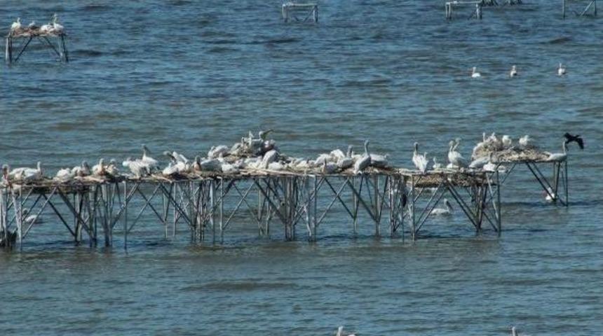Manyas Kuşcenneti'ne Ziyaret&ccedil;i Akını