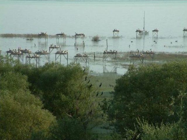 Manyas Kuşcenneti'ne Ziyaretçi Akını