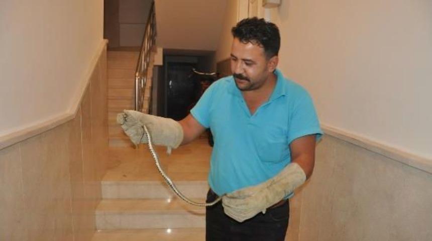 İneg&ouml;l&rsquo;De Apartmana Giren Yılan Korkuya Neden Oldu
