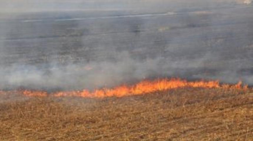 Anız Yakanlara 212 Tl Para Cezası Kesilecek