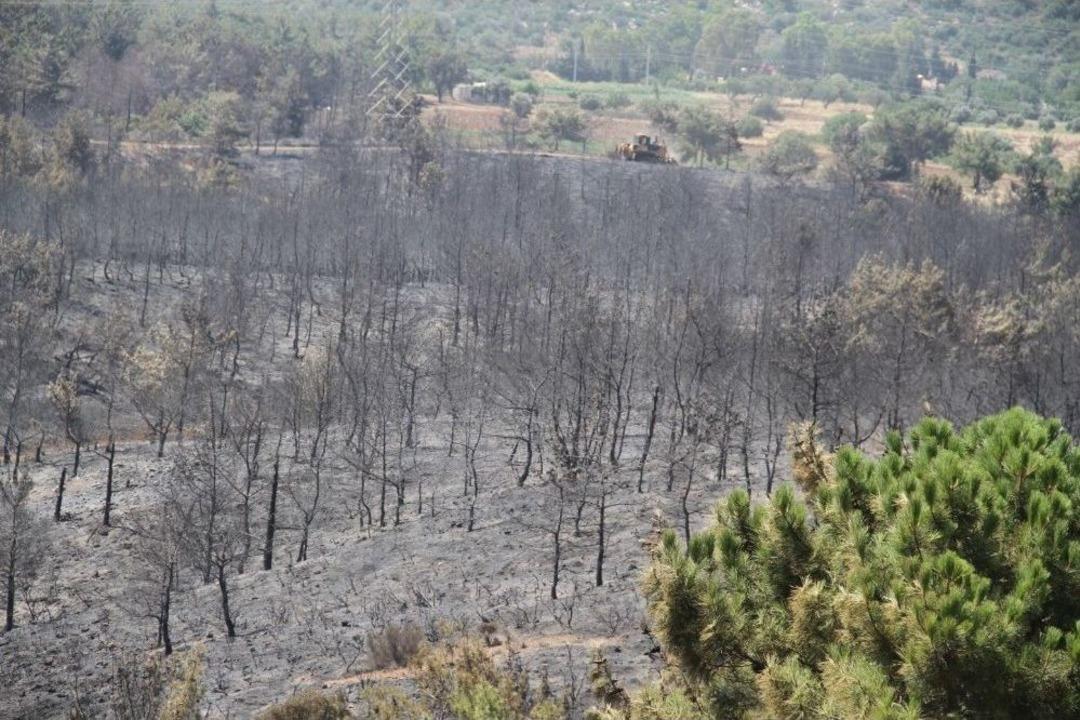 Dat&ccedil;a&rsquo;da Yangının Neden Olduğu Zarar G&uuml;n Ağarınca Ortaya &Ccedil;ıktı