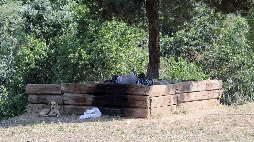 İstanbul&rsquo;da Termometreler "39" Dereceyi G&ouml;sterdi