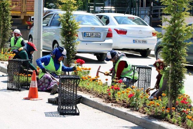 Yozgat’ta Çevre Düzenleme Çalışmaları Devam Ediyor