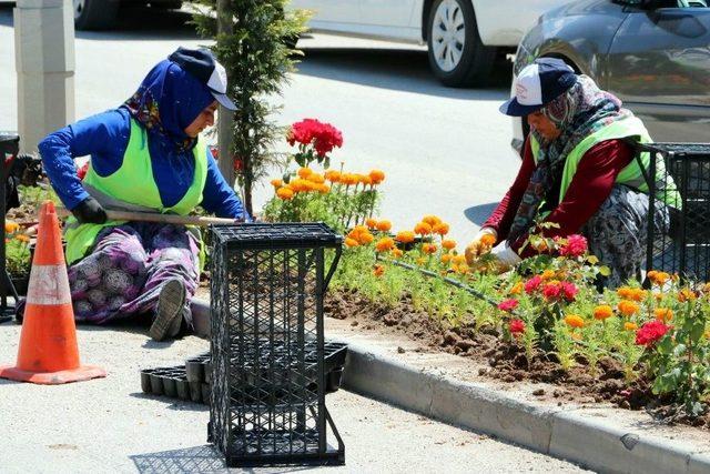 Yozgat’ta Çevre Düzenleme Çalışmaları Devam Ediyor