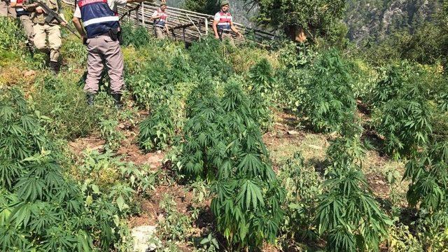 Mersin’de Uyuşturucu Operasyonu: 5 Gözaltı