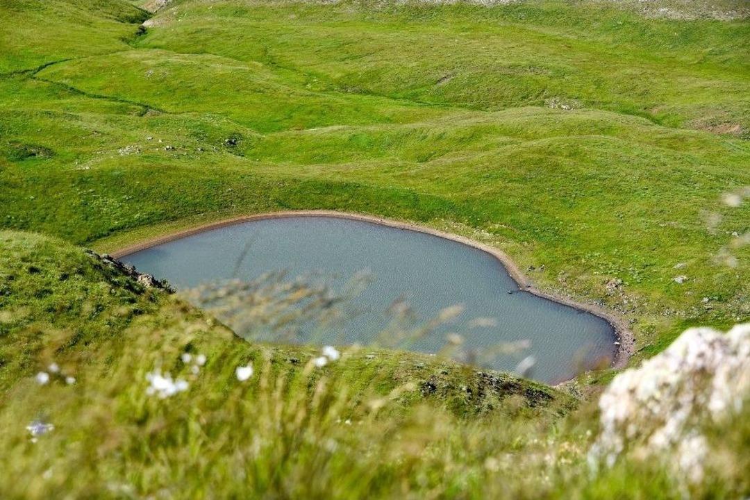 G&uuml;m&uuml;şhane&rsquo;nin İkinci G&ouml;ller B&ouml;lgesi B&uuml;y&uuml;l&uuml;yor
