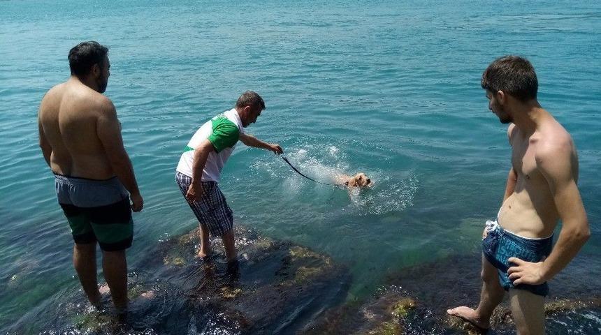 Sıcaktan Bunalan Vatandaş, Y&uuml;zerken &Ouml;z&ccedil;ekim Yaptı