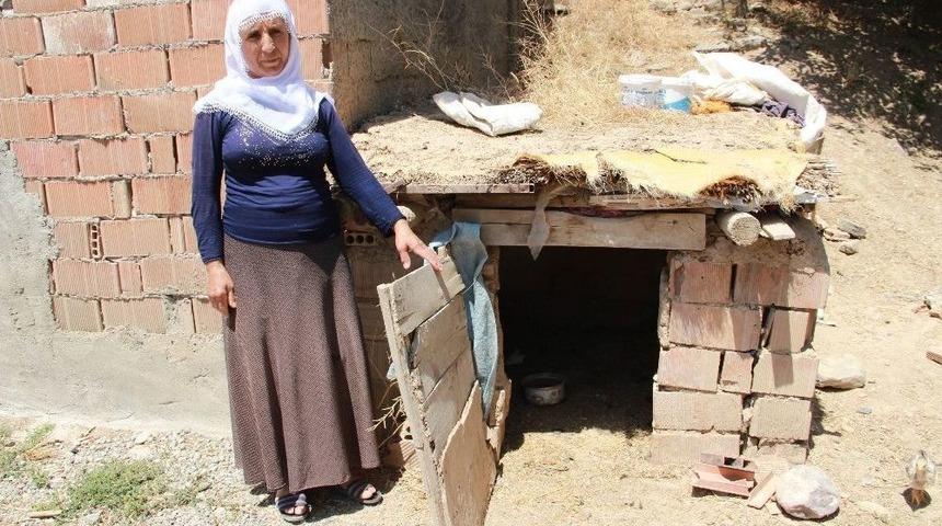 Öldürülen Yılanın Karnından Tavuk Çıktı