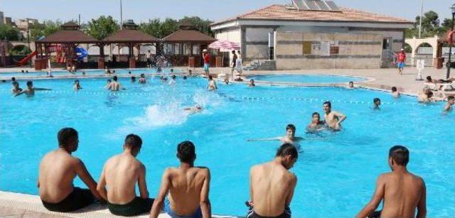 Şanlıurfa'da Belediye Sıcak Nedeniyle Havuzları Ücretsiz Yaptı