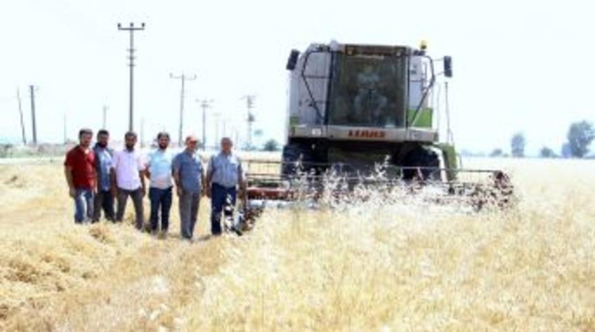 Yenişehirli Çiftiler Tmo’nun Alım Yapmasını İstiyor