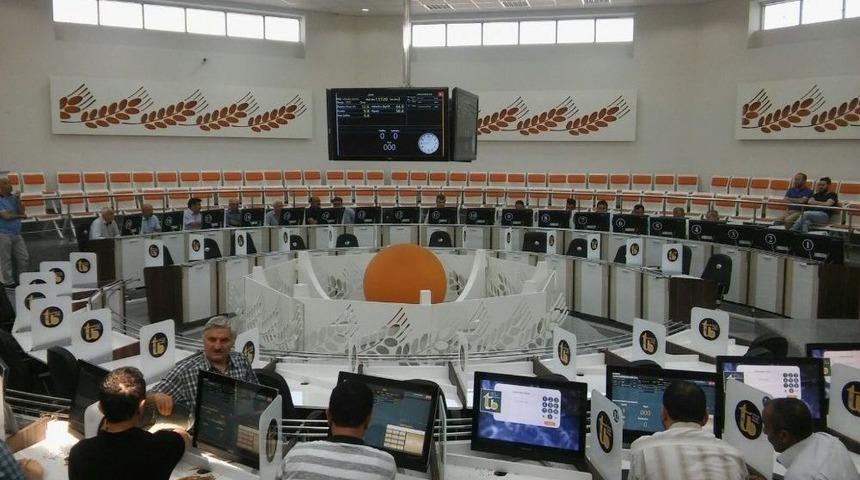 &Ccedil;orum Ticaret Borsası Hububat Sezonu A&ccedil;ıldı