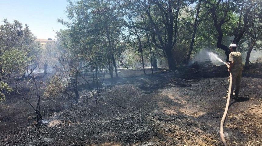 Tunceli&rsquo;de Ekili Tarım Arazisi Ve Bah&ccedil;elerde Yangın