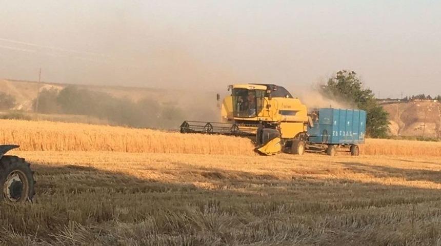 Birecik&rsquo;te Buğday Hasadı Devam Ediyor