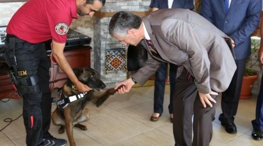 Rize'de Uyuşturucu M&uuml;cadelesine Destek Verenler Ve 'hektor' &Ouml;d&uuml;llendirildi
