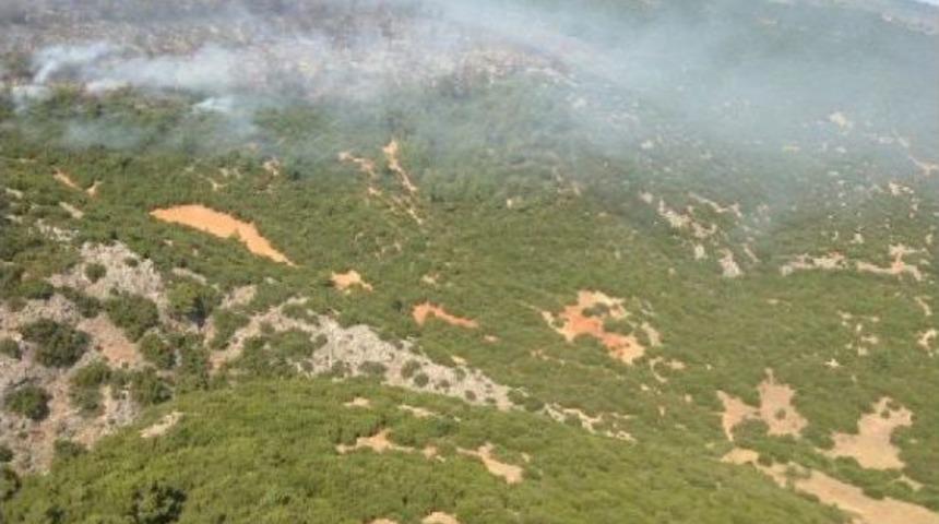 Akhisar'da Makilik Yangını