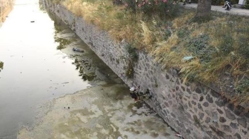 Meles &Ccedil;ayı'na Yaralı Bulunan Gen&ccedil; Hastaneye Kaldırıldı