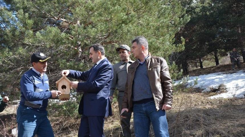 Ormanları B&ouml;ceklerden Korumak İ&ccedil;in Kuşlara Yuva Yaptılar