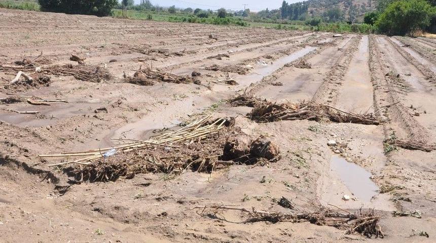 Yenipazar’da Çiftçinin Zararı Tespit Edilecek