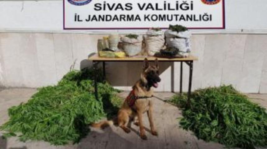 K&ouml;yde Uyuşturucu Operasyonu