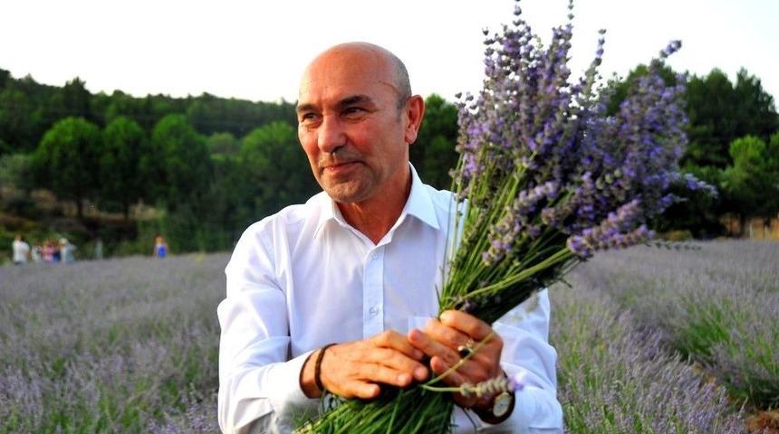 Sakin Şehir&rsquo;de Lavanta Şenliği