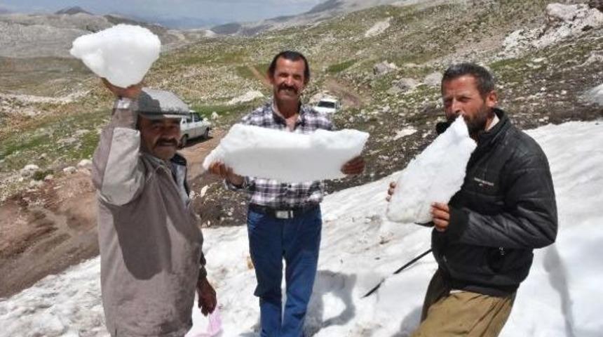 Sıcaktan Bunalan Torosların Karıyla Serinliyor
