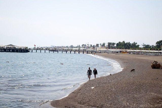 Antalya’da 10 Kişiyi Caretta Caretta Isırdı