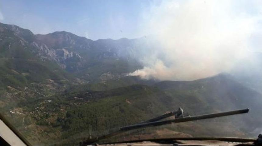 Alanya'da Orman Yangını