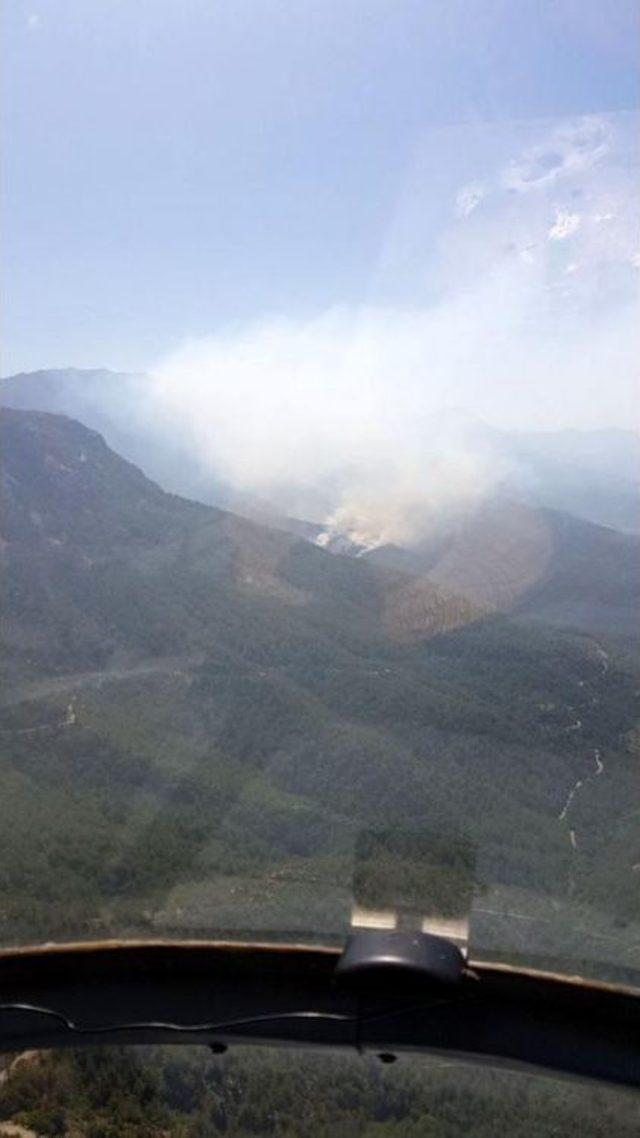 Alanya'da Orman Yangını