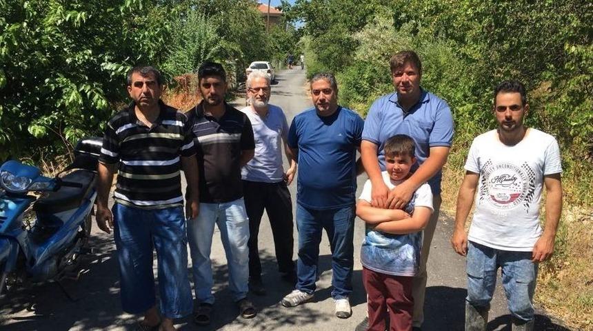 Kayısı &Uuml;reticilerinden &lsquo;susuzluktan Ağa&ccedil;larımız Kurudu&rsquo; İddiası