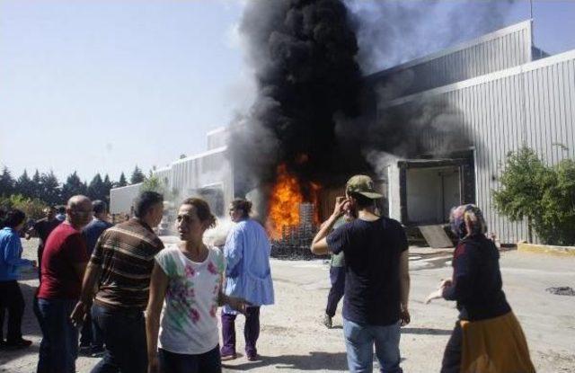 Alaşehir'de Sebze Ve Meyve Işletmesinde Korkutan Yangın