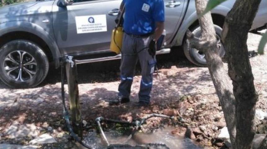 Finike&rsquo;de Sinekle M&uuml;cadele S&uuml;r&uuml;yor