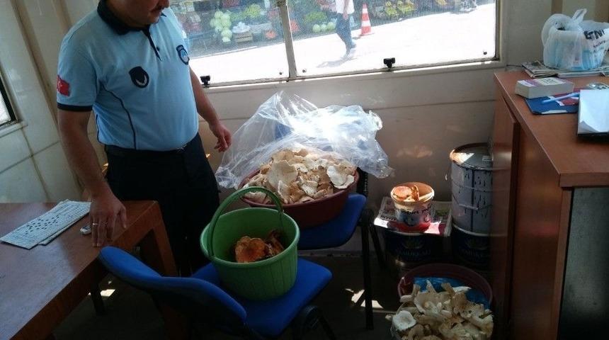 Satışı Yasak Olan Mantarlara Zabıta El Koydu