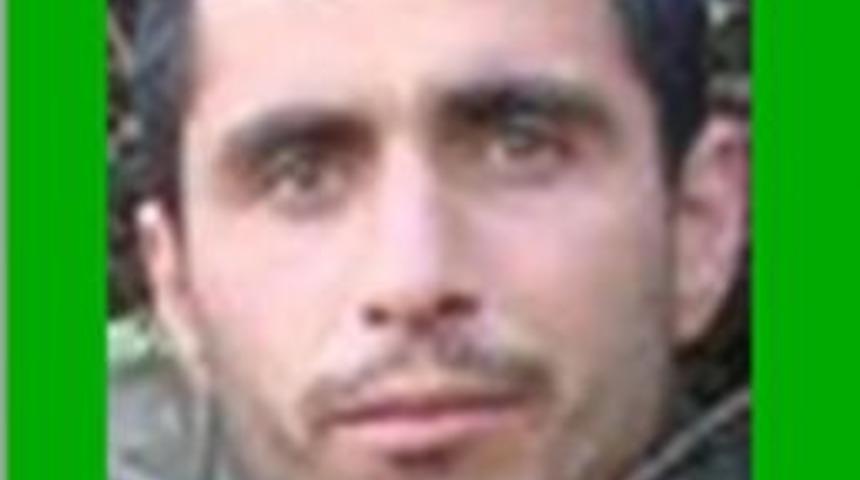 Diyarbakır Lice'de &Ouml;ld&uuml;r&uuml;len Pkk'lılardan Biri 'yeşil' Liste Ile Aranıyordu