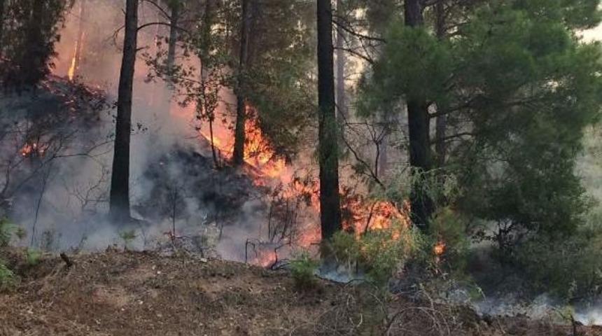 Alanya'da Orman Yangını 10 Hektarda Etkili, Araz&ouml;z Alevlerin Ortasında Kaldı (2) -Yeniden