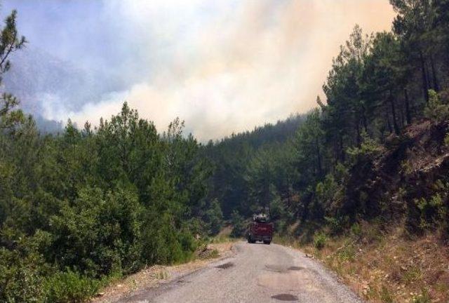 Alanya'da Orman Yangını 10 Hektarda Etkili, Arazöz Alevlerin Ortasında Kaldı (2) -Yeniden