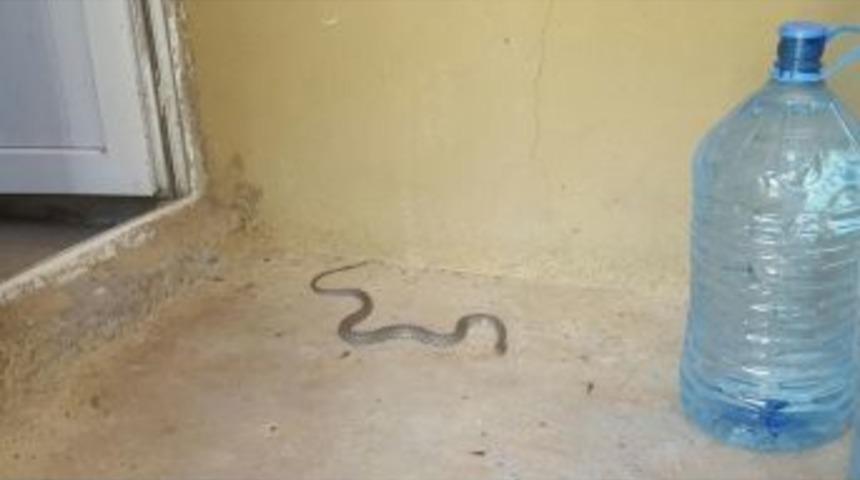 &Ccedil;ocuğun Ağlaması Aileyi Kurtardı