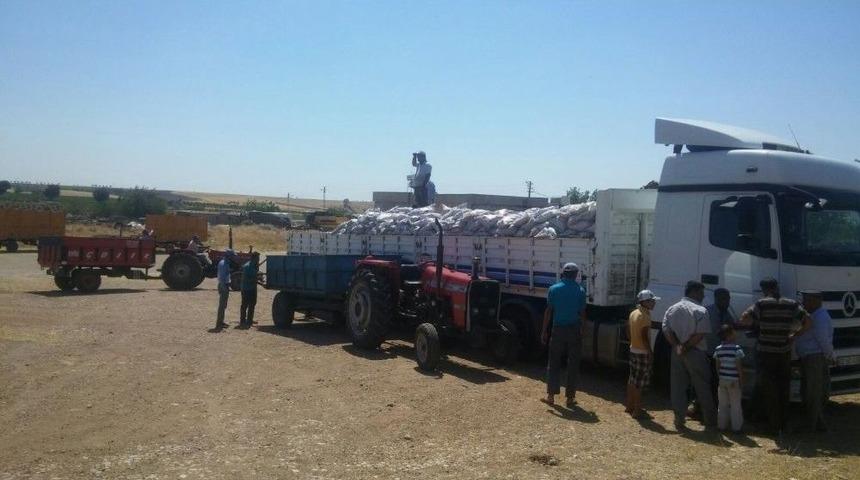 K&ouml;ylerde K&ouml;m&uuml;r Dağıtımı Tamamlandı