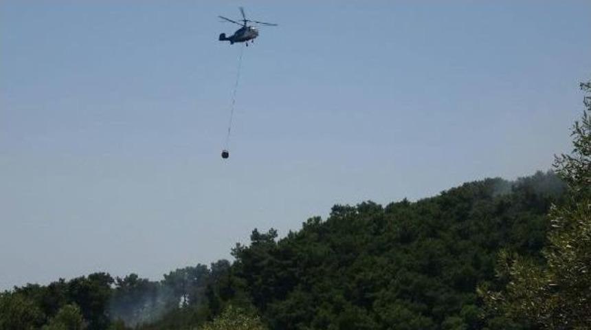 Kazdağları'nda Kundaklama Ş&uuml;phesi Yaratan Orman Yangını