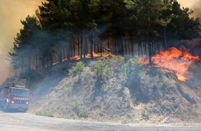 Alanya'da Orman Yangını 10 Hektarda Etkili, Arazöz Alevlerin Ortasında Kaldı (3)