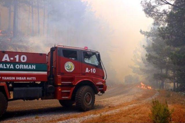 Alanya'da Orman Yangını 10 Hektarda Etkili, Arazöz Alevlerin Ortasında Kaldı (3)