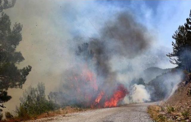 Alanya'da Orman Yangını 10 Hektarda Etkili, Arazöz Alevlerin Ortasında Kaldı (3)