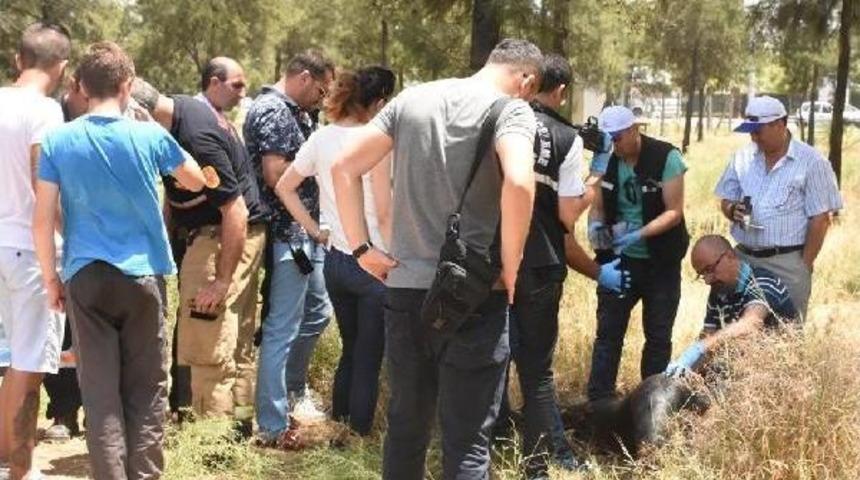 Atık Kanalına D&uuml;şerek Yanan Otomobilin S&uuml;r&uuml;c&uuml;s&uuml; &Ouml;ld&uuml;