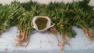 Uşak Jandarmasından Baskın Üstüne Baskın