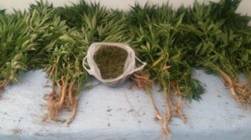 Uşak Jandarmasından Baskın &Uuml;st&uuml;ne Baskın