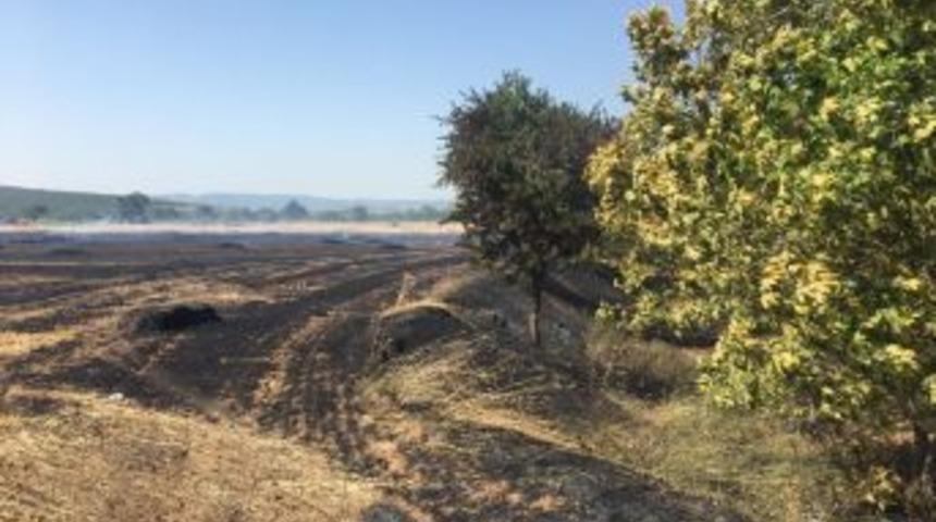 Ezine&rsquo;de 20 D&ouml;n&uuml;ml&uuml;k Zirai Alan Yandı