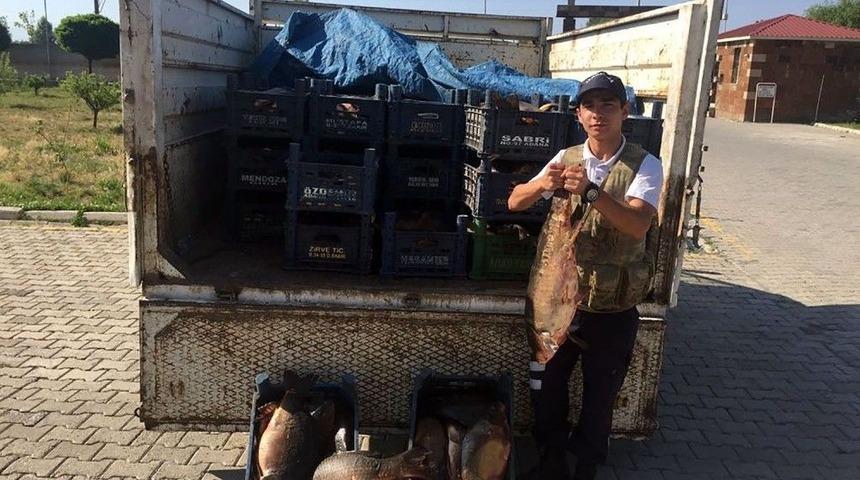 Jandarma, Ahlat’ta 1,5 Ton Kaçak Balık Yakaladı