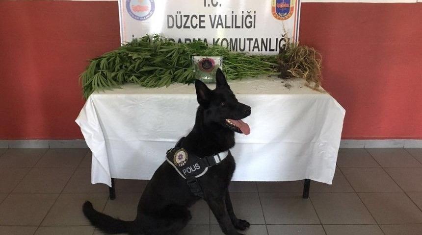 Jandarmadan Uyuşturucuya Ge&ccedil;it Yok