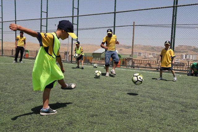 Mardin’de Spor Kurslarına Yoğun İlgi