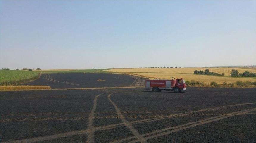 İtfaiyenin Erken M&uuml;dahalesi Buğday Tarlasını K&uuml;l Olmaktan Kurtardı